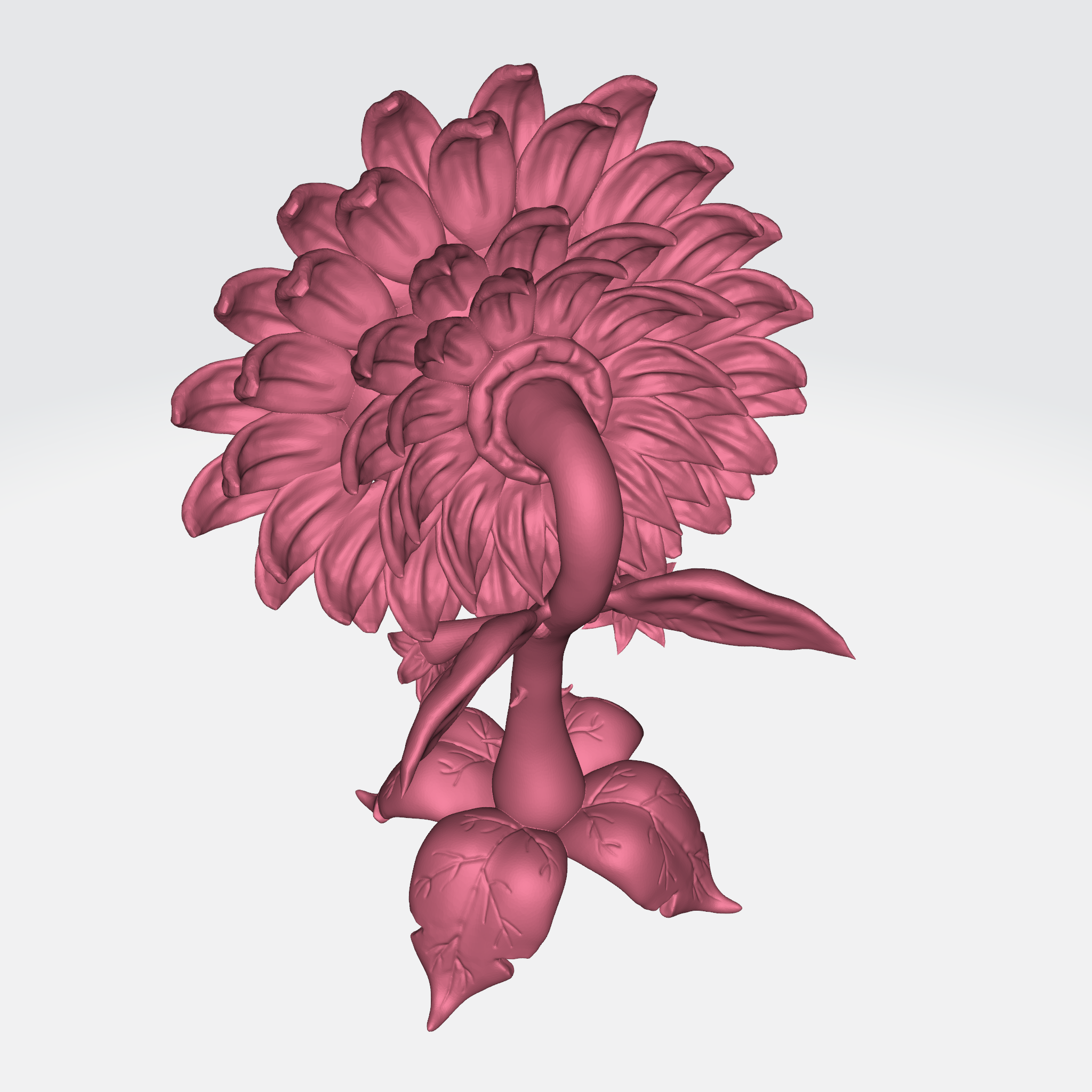 Sunflower (3).png