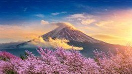 Đạo Huyền Chân Nhân Đạo Huyền Chân Nhân